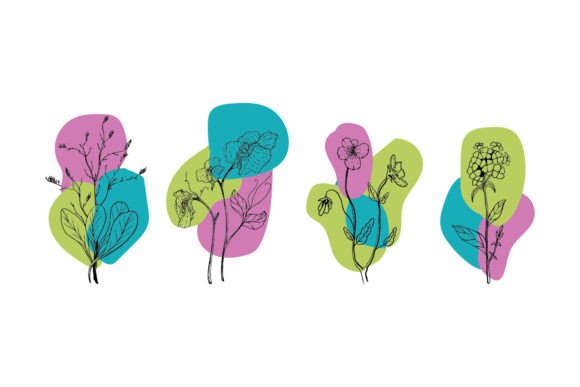 Floral Decorative Elements: A Review of Graphics and Illustrations for Local Brands