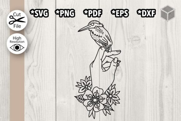 Floral Humming Bird Graphics and Illustrations Review