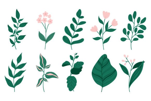 Green Floral Elements: Fresh Graphics and Illustrations for Local Brands
