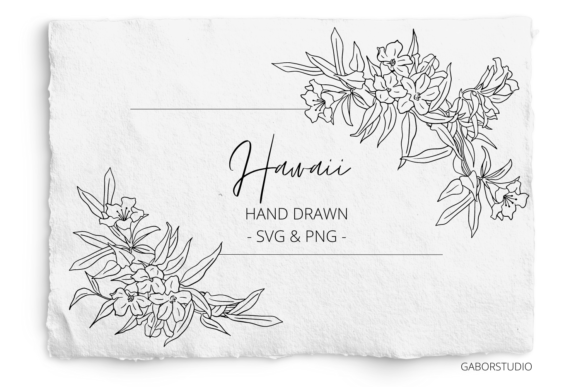 Hibiscus Floral Corner Frame, SVG an PNG for Graphics and Illustrations