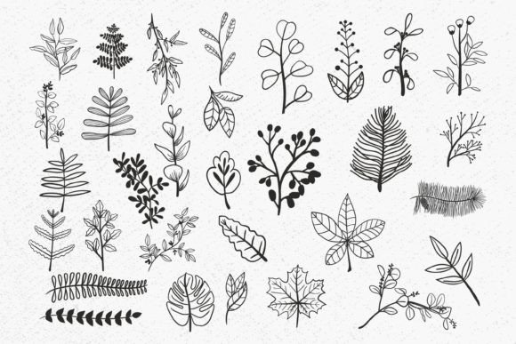 Leaves Bundle SVG, Greenery Floral Leaf