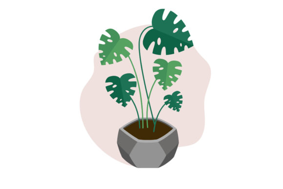 Tropical Floral Plant Graphic Design for Graphics and Illustrations