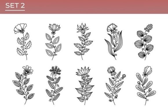 Vector Floral Collection: Modern Graphics for Illustrations