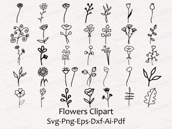 Wildflower Illustrations Floral Line Art Graphics Review